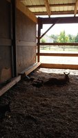20170916_131306.jpg