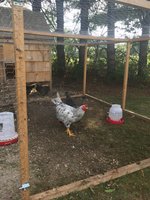 IMG_3669.JPG