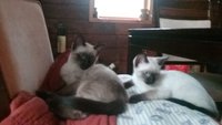 20170829_161928.jpg