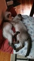 20170831_174842.jpg