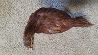 20170916_124247.jpg