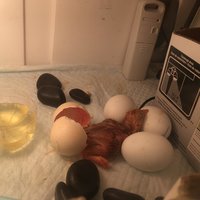 IMG_0381.jpg