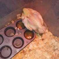 IMG_20170917_144430.jpg
