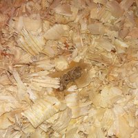 IMG_20170917_144455.jpg