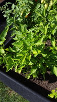 20170917_145823.jpg