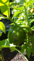 20170917_145838.jpg