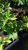 20170917_145934.jpg