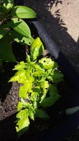 20170917_145829.jpg