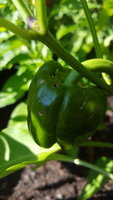 20170917_145852.jpg