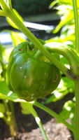 20170917_145859.jpg