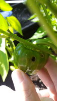 20170917_145910.jpg