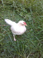 20170918_102334.jpg