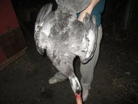 IMG_2457.JPG