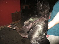 IMG_2459.JPG