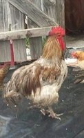 20170918_144533.jpg
