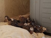 20170917_162455.jpg