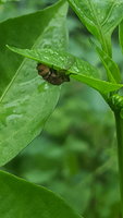 20170918_163514.jpg