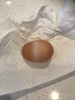 EGG.JPG