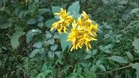 20170919_184457.jpg