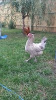 20170920_090241.jpg