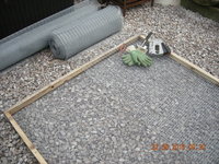 DSCN9796.JPG