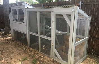 The Chicken Coop D'État!