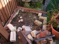 DSCN4978.JPG