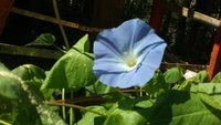 20170920_120921.jpg