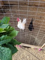 20170919_175705.jpg