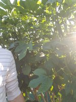 20170919_175324.jpg