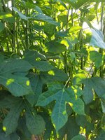 20170919_175306.jpg