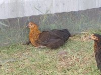 20170920_163324.jpg