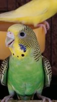 20170830_131619.jpg