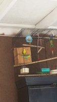 20170920_153048.jpg