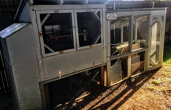 IMG_1142.JPG