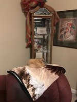 IMG_0288.JPG