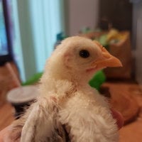 20170921_082812.jpg