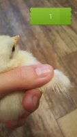 20170921_083103.jpg 20170921_083103.jpg