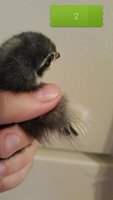 20170921_083123.jpg 20170921_083123.jpg
