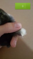 20170921_083158.jpg 20170921_083158.jpg