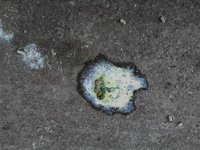 Poop 01 17-08-23 .jpg