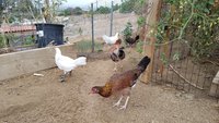 20170921_072804.jpg