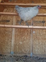 20170921_113839.jpg