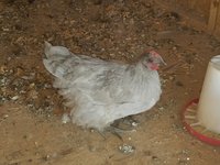 20170921_113721.jpg