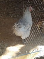 20170921_113704.jpg