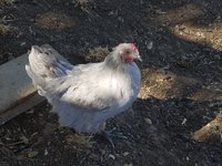 20170921_113643.jpg
