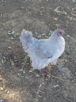 20170921_113638.jpg