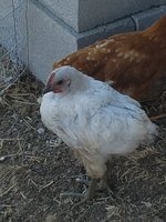 20170921_113601.jpg