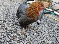 20170921_122951.jpg