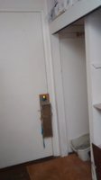 cat room 003.jpg